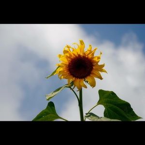 Meet your Posher, Breanna